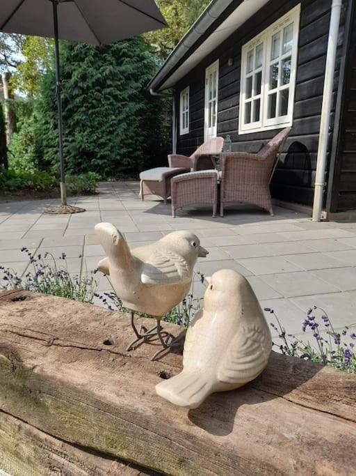 De Springop Villa Eefde Exteriör bild